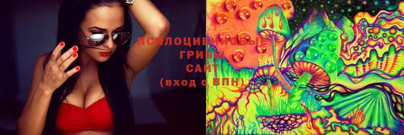 где можно купить наркотик  Касимов  Псилоцибиновые грибы MAGIC MUSHROOMS 